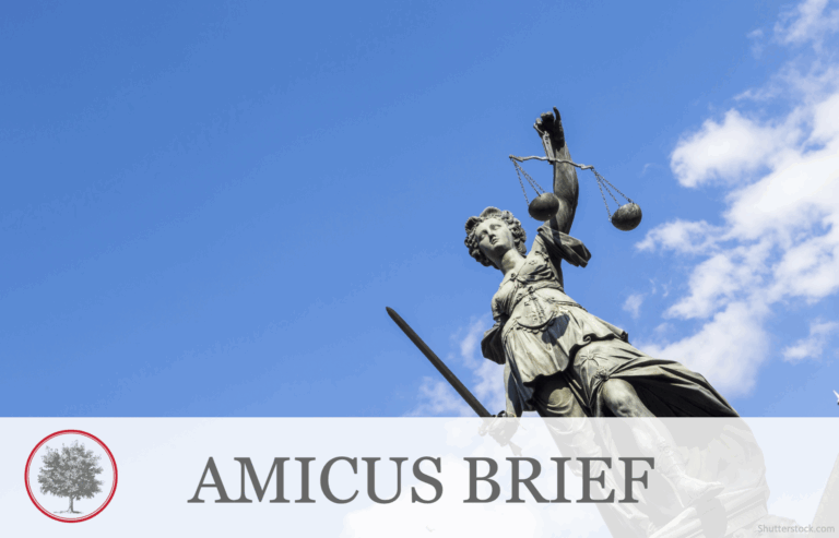 “In Amicus Brief, The Buckeye Institute Once Again Calls on U.S. Supreme Court to Protect First Amendment Rights of Government Contractors”