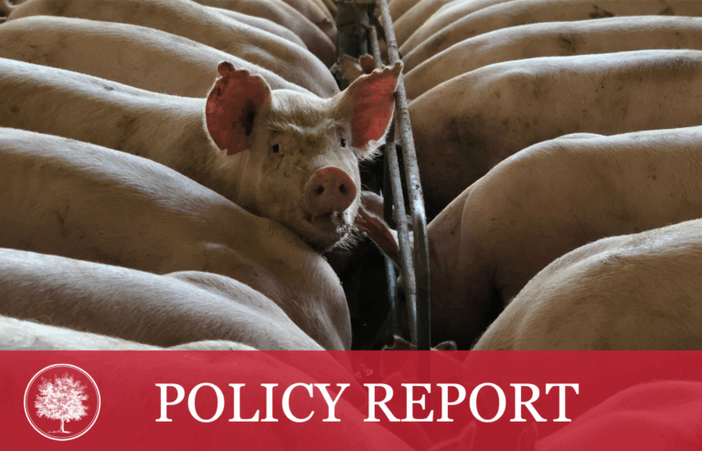 “The Buckeye Institute Releases Famous Piglet Book, Finds More Than $600 Million in Savings for Ohio Taxpayers”