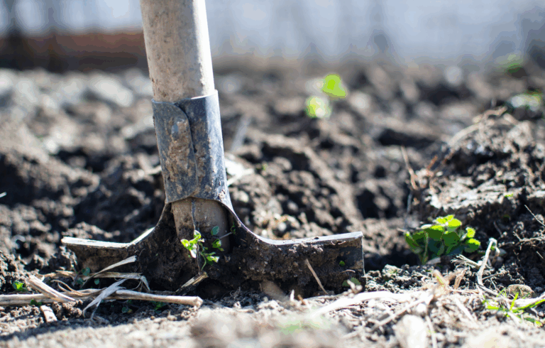 The Buckeye Institute Files Amicus Brief Opposing Excessive Fines in Columbus Landscaping Case