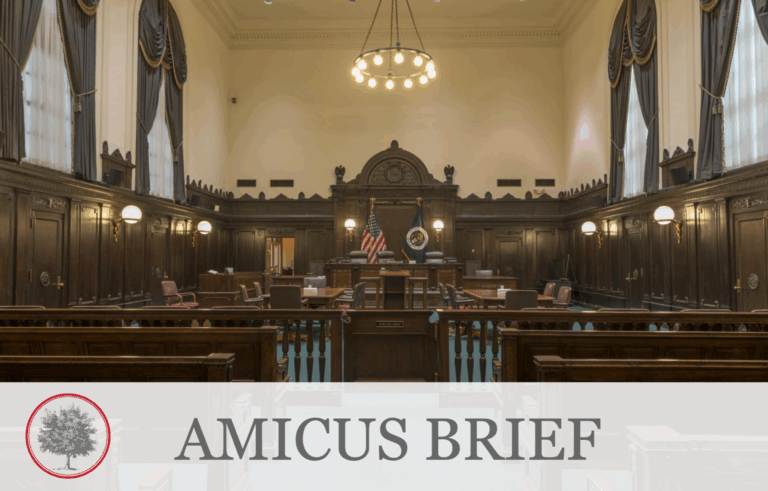 “In Amicus Brief, The Buckeye Institute Argues That Liberty Requires Accountability”