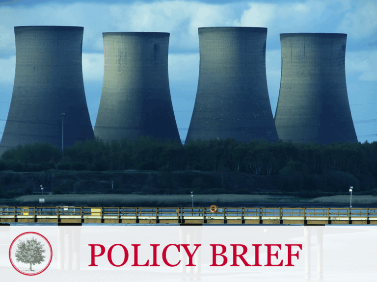 Nuclear Power Subsidy: A Radioactive Proposal for Ohio