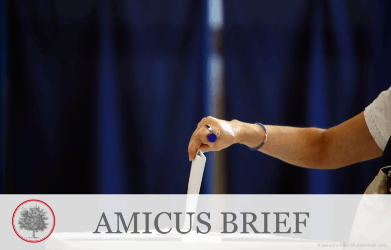 Buckeye Institute Amicus Brief Argues for Ohio’s Right to Ensure Election Integrity